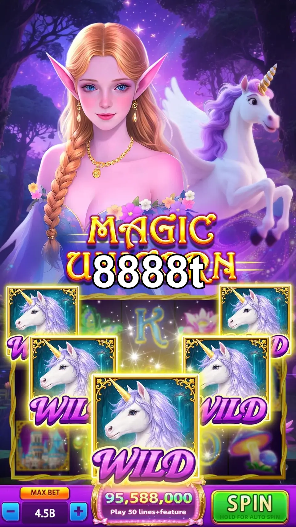 8888t Login